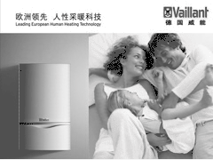 前十名股東持股情況